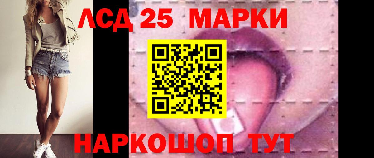 блэк спрут зеркало  Вход с VPN  Элиста  Лсд 25 экстази кислота  ЛСД экстази кислота 
