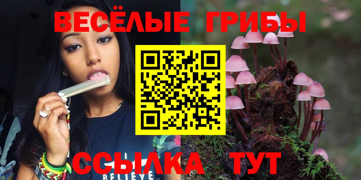 Псилоцибиновые грибы прущие грибы Элиста